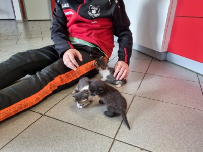 Ankunft in der Tierklinik Ankunft in der Tierklinik